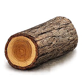 Black Walnut