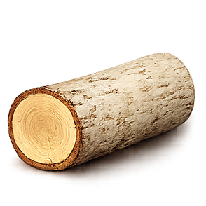Buchsbaum