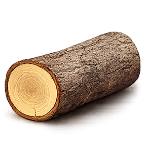 Veilchenholz